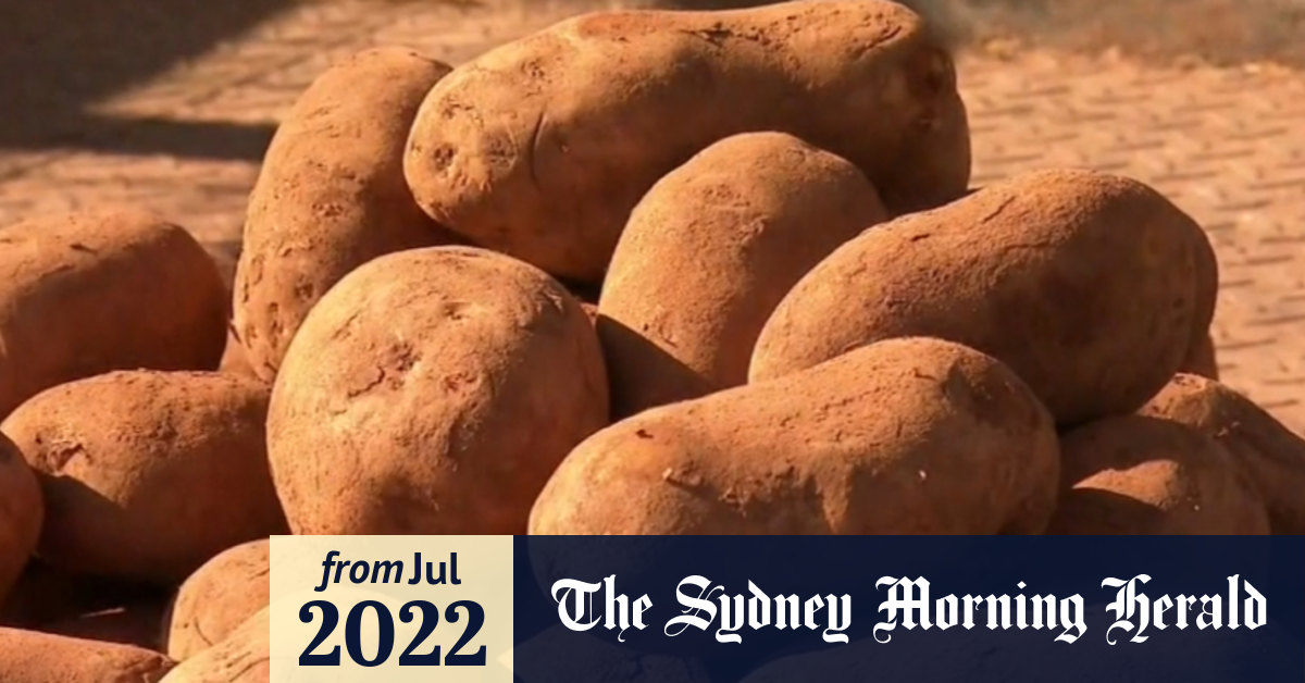 Video Victorian farmers warn potato price set to rise